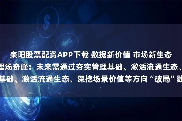 耒阳股票配资APP下载 数据新价值 市场新生态 | 上海数据交易所总经理汤奇峰：未来需通过夯实管理基础、激活流通生态、深挖场景价值等方向“破局”数据孤岛