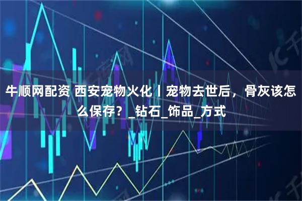 牛顺网配资 西安宠物火化丨宠物去世后，骨灰该怎么保存？_钻石_饰品_方式