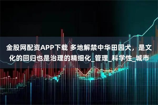 金股网配资APP下载 多地解禁中华田园犬，是文化的回归也是治理的精细化_管理_科学性_城市